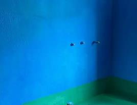 龙井卫生间测漏水多少钱